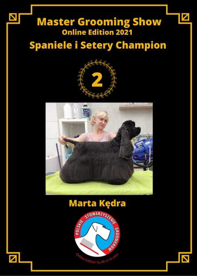 Międzynarodowy Konkurs październik 2021 - Cocker Spaniel Srebrny Medal w Kategorii Champion 