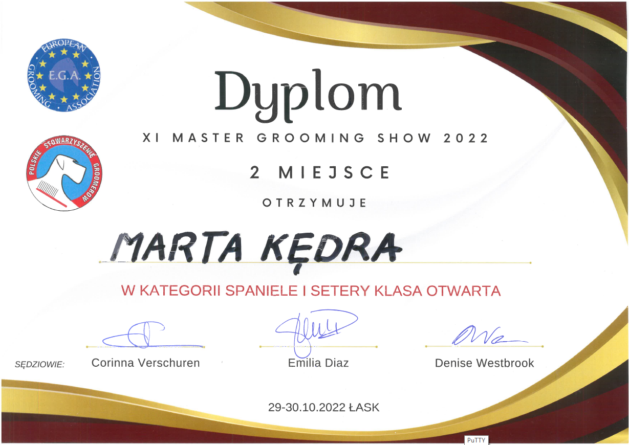 Master Grooming Show 2022 - Dyplom Marty za zajęcie 2 miejsca w Kategorii Spaniele i Setery Open